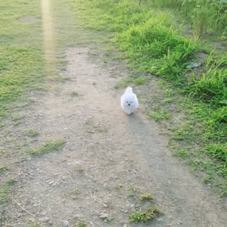 해선🍀 프로필