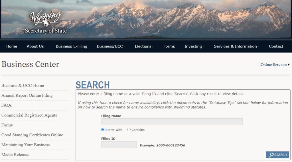 LLC şirket isim seçimi için eyalet web sitesinden isim araması yapılmalıdır