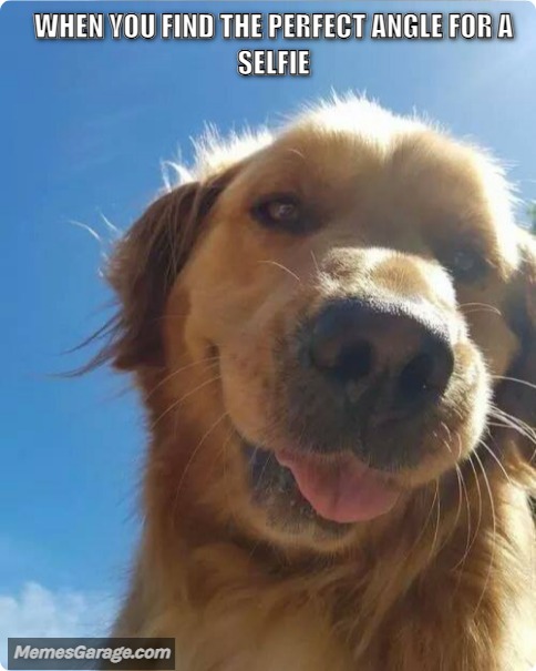 When You Find The Perfect Angle For A Selfie