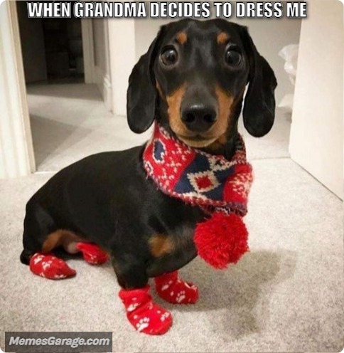 When Grandma Decides To Dress Me