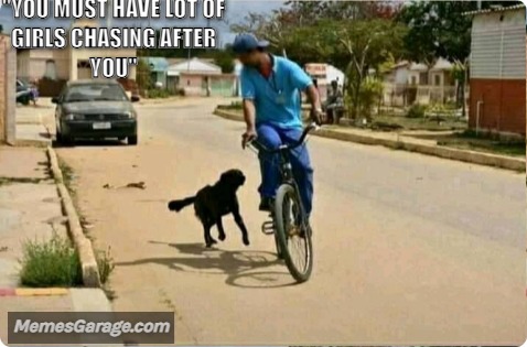 you Must Have Lot Of Girls Chasing After You