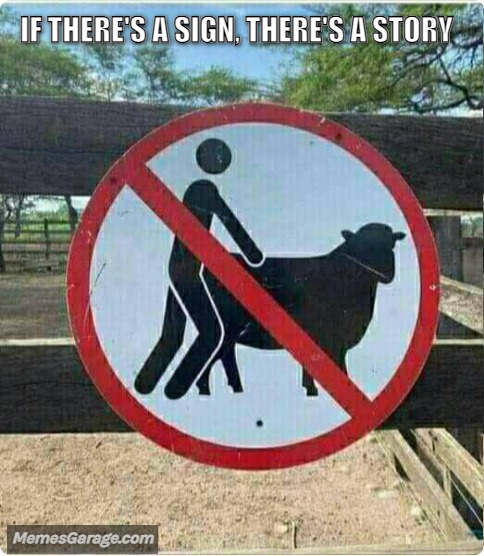 If There's A Sign, There's A Story