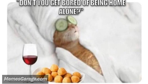Don't You Get Bored Of Being Home Alone?