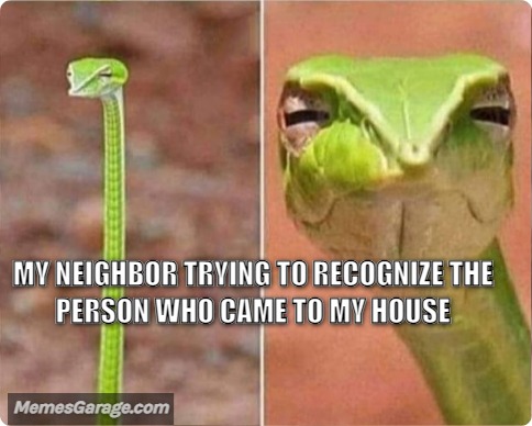 My Neighbor Trying To Recognize The Person Who Came To My House
