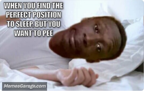 When You Find The Perfect Position To Sleep, But You Want To Pee