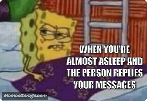 When You're Almost Asleep And The Person Replies Your Messages