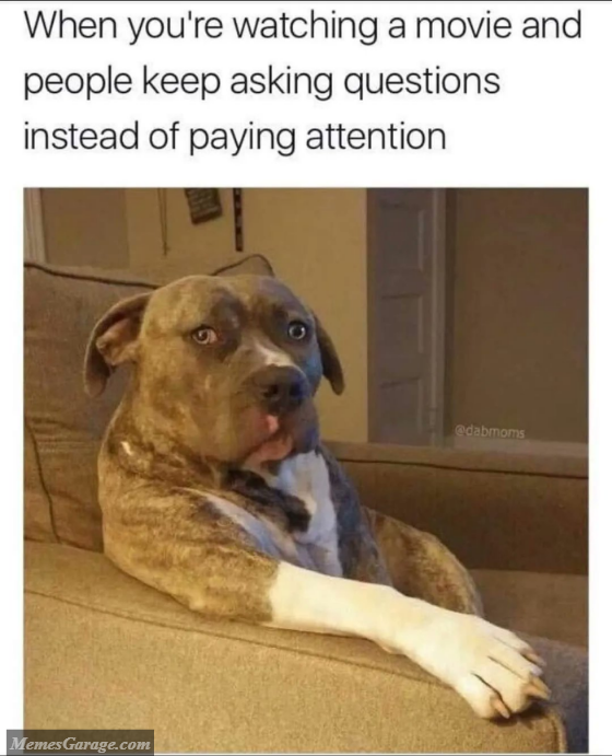 When You're Watching A Movie And People Keep Asking Questions Instead Of Paying Attention