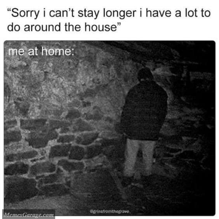 Sorry I Can't Stay Longer I Have A Lot To Do Around The House