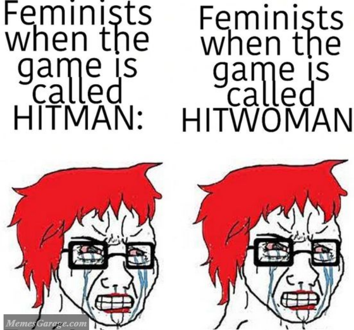 Feminists When A Video Game Is Called Hitman Vs Hitwoman