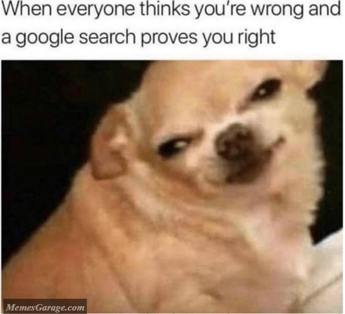 When Everyone Thinks You're Wrong And A Google Search Proves You Right