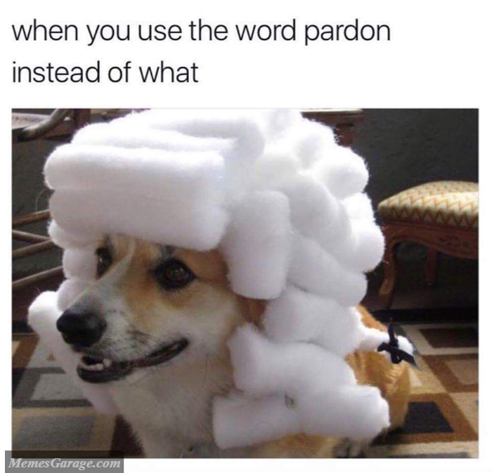 When You Use The Word Pardon Instead Of What