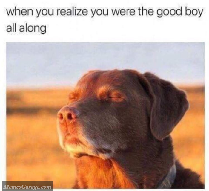 When You Realize You Were The Good Boy All Along