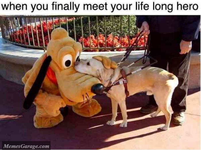 When You Finally Meet Your Life Long Hero