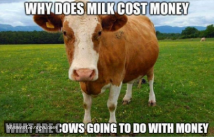Why Does Milk Cost Money