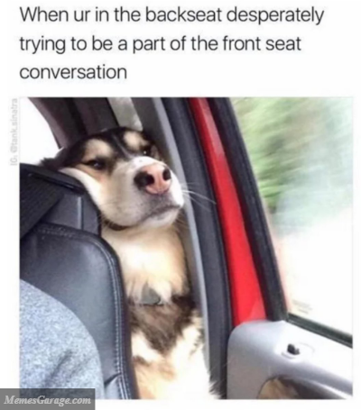When You're In The Backseat Desperately Trying To Be A Part Of The Front Seat Conversation