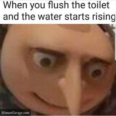 When You Flush The Toilet And The Water Starts Rising