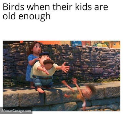 Birds When Their Kids Are Old Enough