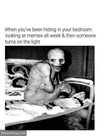 When You've Been Hiding In Your Bedroom Looking At Memes All Week
