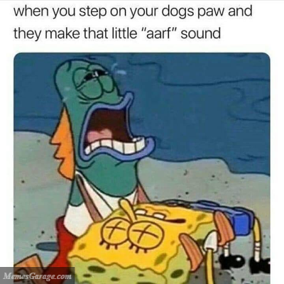 When You Step On Your Dogs Paw And They Make That Little 'aarf' Sound