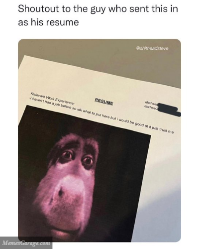 Shoutout To The Guy Who Sent This In As His Resume