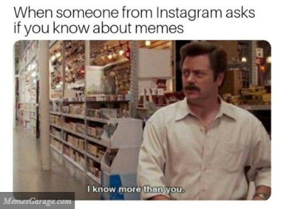 When Someone From Instagram Asks If You Know About Memes