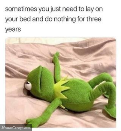 Sometimes You Just Need To Lay On Your Bed And Do Nothing For 3 Years