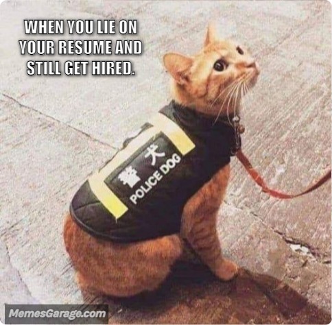 When You Lie On Your Resume And Still Get Hired.