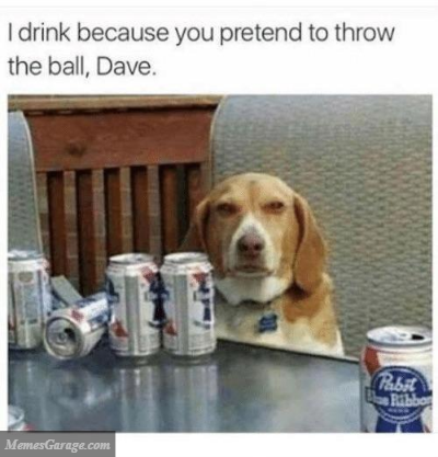 I Drink Because You Pretend To Throw The Ball, Dave