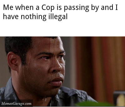 Me When A Cop Is Passing By And I Have Nothing Illegal