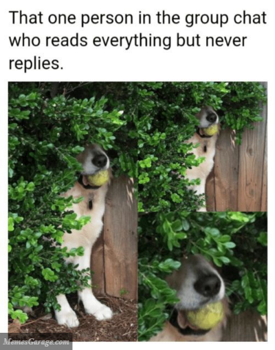 That Person In The Group Chat Who Reads Everything But Never Replies
