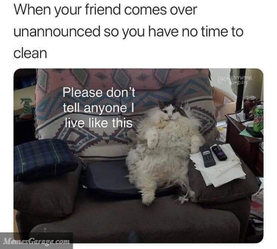 When Your Friend Comes Over Unannounced
