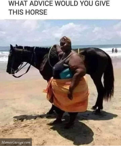 What Advice Would You Give This Horse