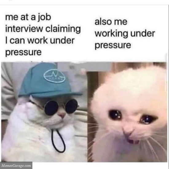 Me At Job Interview Claiming I Can Work Under Pressure