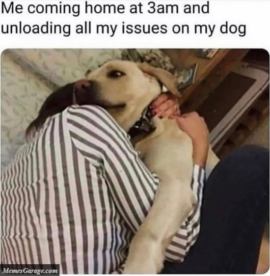 Me Coming Home At 3am And Unloading All My Issues On My Dog