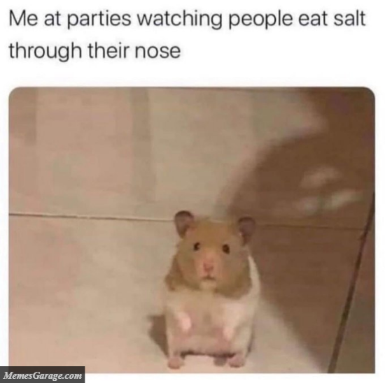 Me At Parties Watching People Eat Salt Through Their Nose