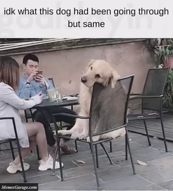 I Don't Know What This Dog Had Been Going Through But I Feel The Same