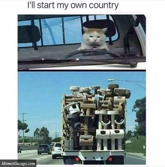 I'll Start My Own Country Kittenland