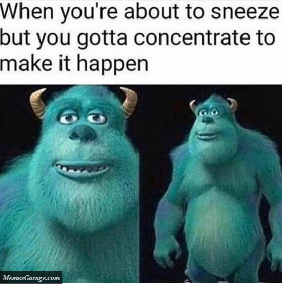 When You're About To Sneeze But You Got to Concentrate To Make It Happen
