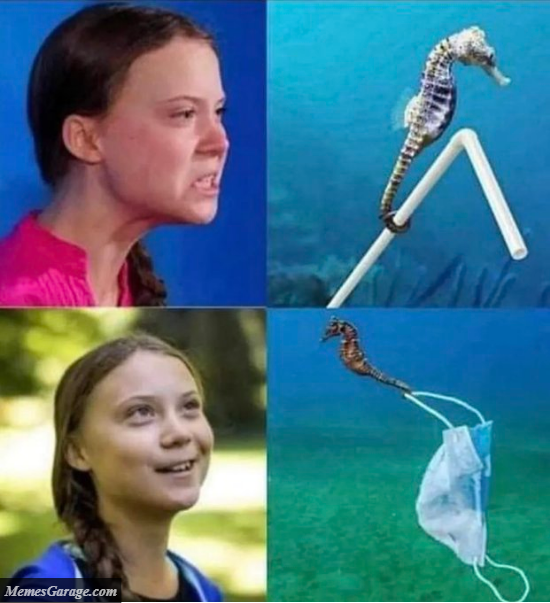 Greta Seahorse