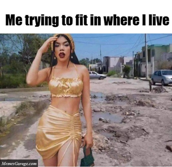 Me Trying To Fit In Where I Live