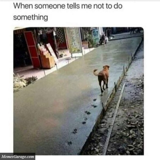 When Someone Tells Me Not To Do Something