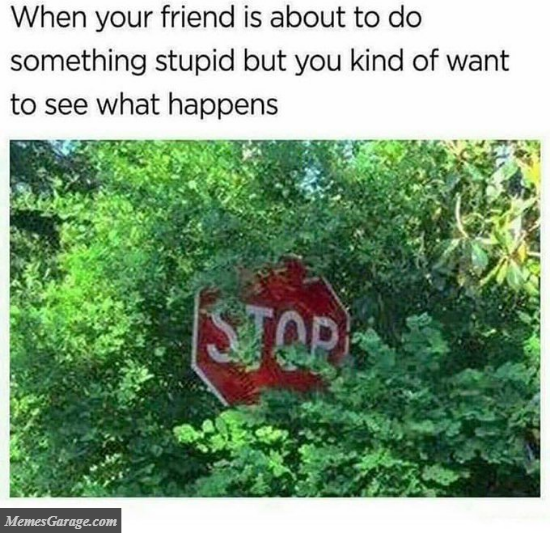 When Your Friend Is About To Do Something Stupid But You Want To See What Happens