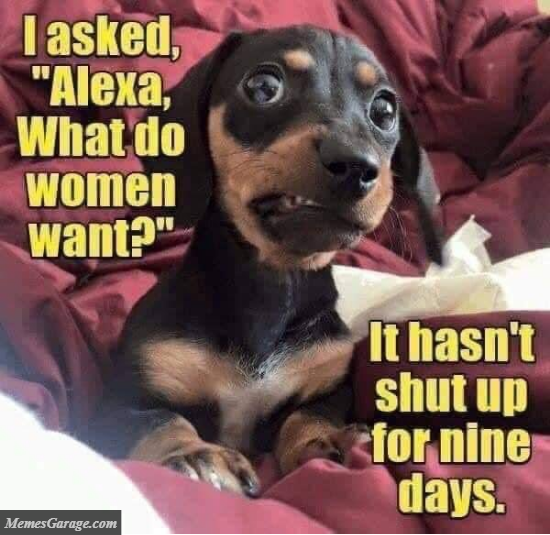I Asked Alexa What Do Women Want