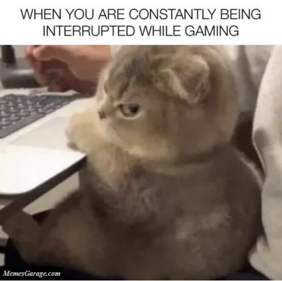 When You Are Constantly Being Interrupted While Gaming
