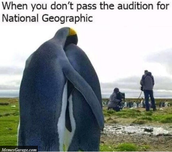When You Don't Pass The Audition For National Geographic