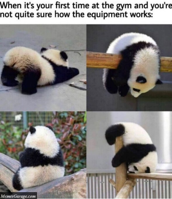 When It's Your First Time At The Gym And You're Not Quite Sure How The Equipment Works