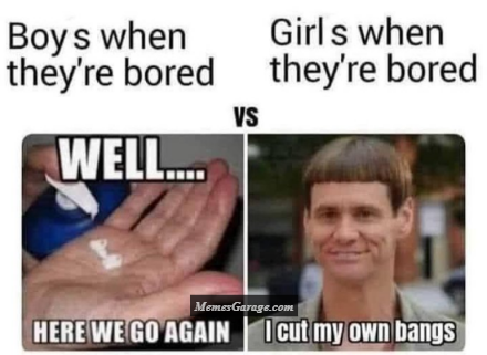 Boys When Bored Vs Girls When Bored Meme