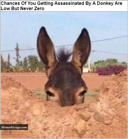 Chances Of You Getting Assassinated By A Donkey Are Low But Never Zero Meme