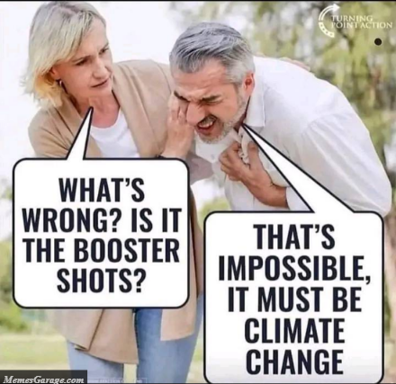 Is It The Booster Shots? Meme