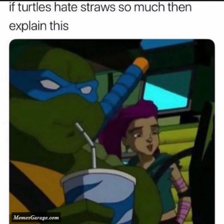 If Turtles Hate Straws So Much Then Explain This Meme